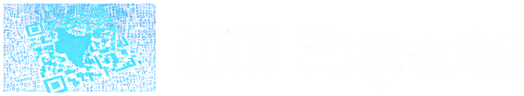 UDI Experts